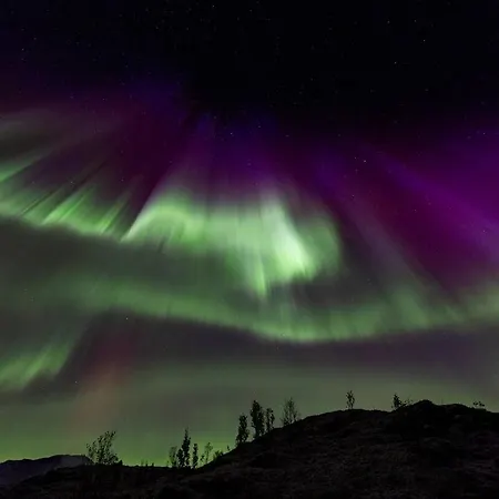 Leilighet Nature Escape *