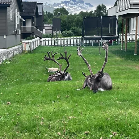 Leilighet Nature Escape Tromsø