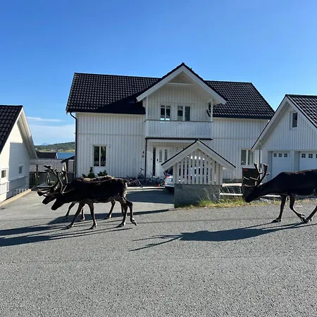 Nature Escape Leilighet